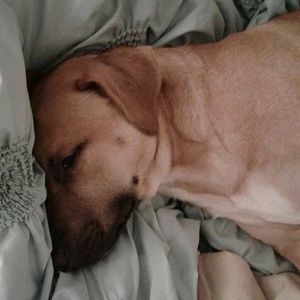 Meet your Posher, Beverly